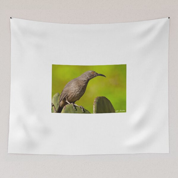 Item preview, Curve-Billed Thrasher on a Prickly Pear Cactus designed and sold by Jeff Goulden Photography.