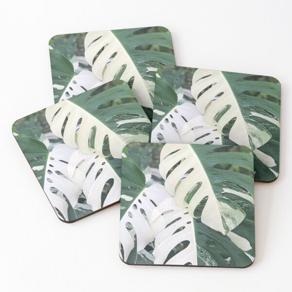 Item preview, Variegated Monstera Albo Borsigiana, Half Moon Leaves designed and sold by IMPHives.