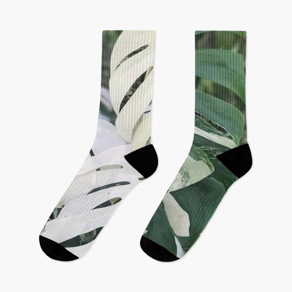Item preview, Variegated Monstera Albo Borsigiana, Half Moon Leaves designed and sold by IMPHives.