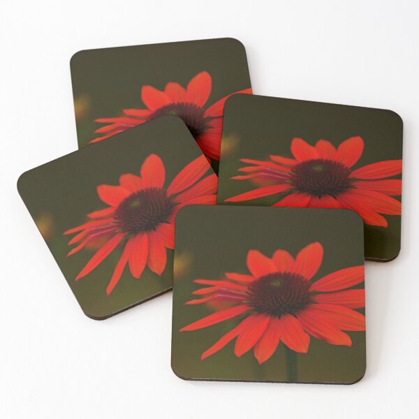 Item preview, Orange Coneflower... designed and sold by Poete100.