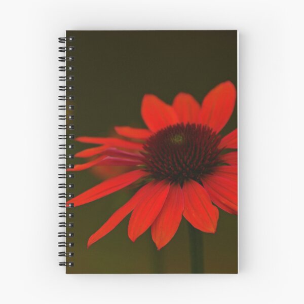 Item preview, Orange Coneflower... designed and sold by Poete100.
