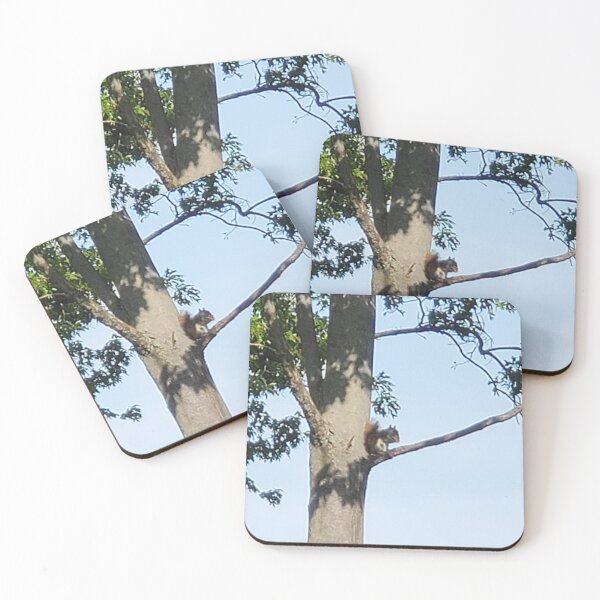 Item preview, Squirrel on a tree eating designed and sold by Photosunsqueen.