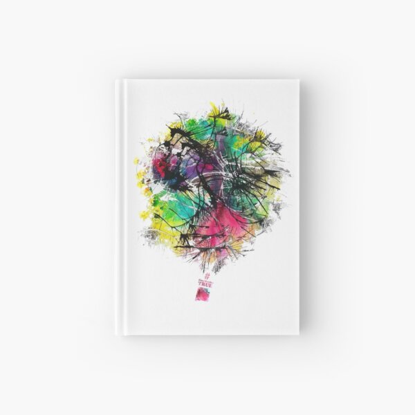 New Mexico True Balloon Splash Hardcover Journal