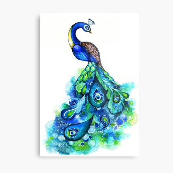 Peacock Feather Wall Art for Sale