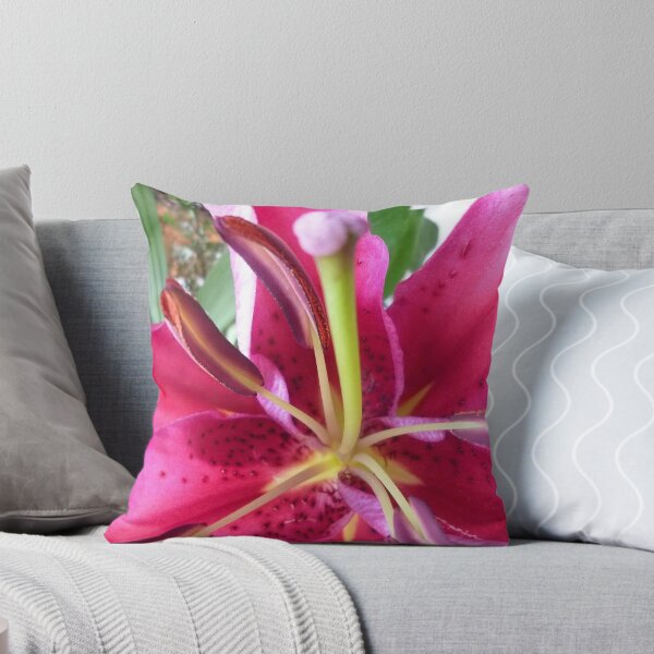 Item preview, Pink Lily in Macro - Spring, Oct. 2010, designed and sold by EdsMum.