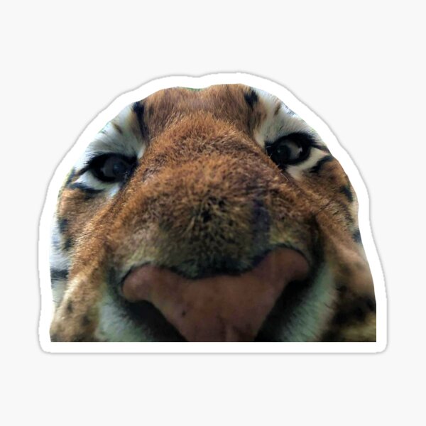 mike Sticker