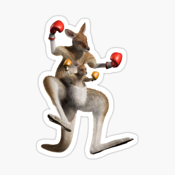 "boxing kangaroo" Sticker by autrouvetout Redbubble