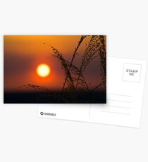 Sunset at Ubirr - Kakadu National Park, NT Postcards