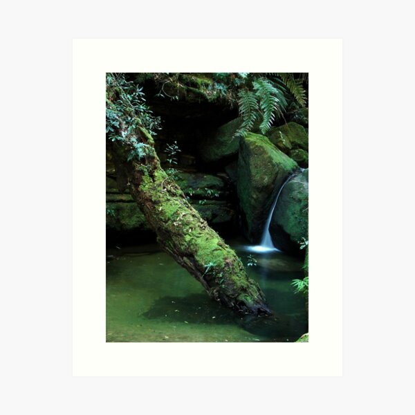 Item preview, Salote Pool - Blue Mountians NSW designed and sold by Dilshara Hill.