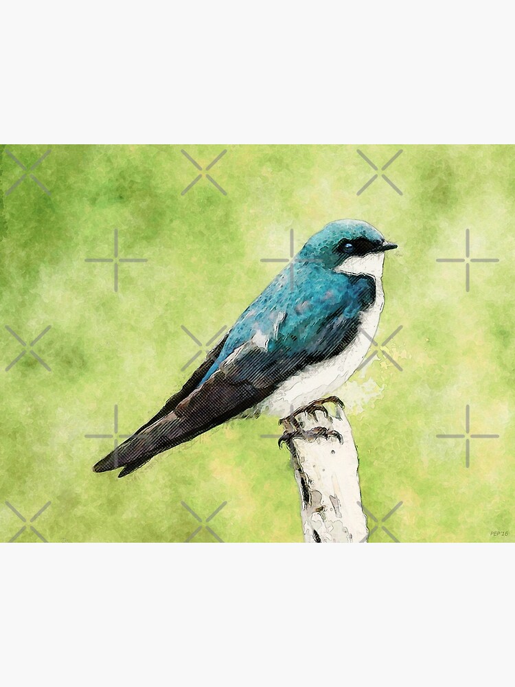Blue Bird by perkinsdesigns