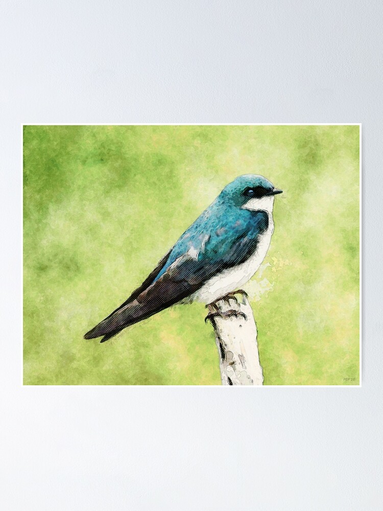 Alternate view of Blue Bird Poster
