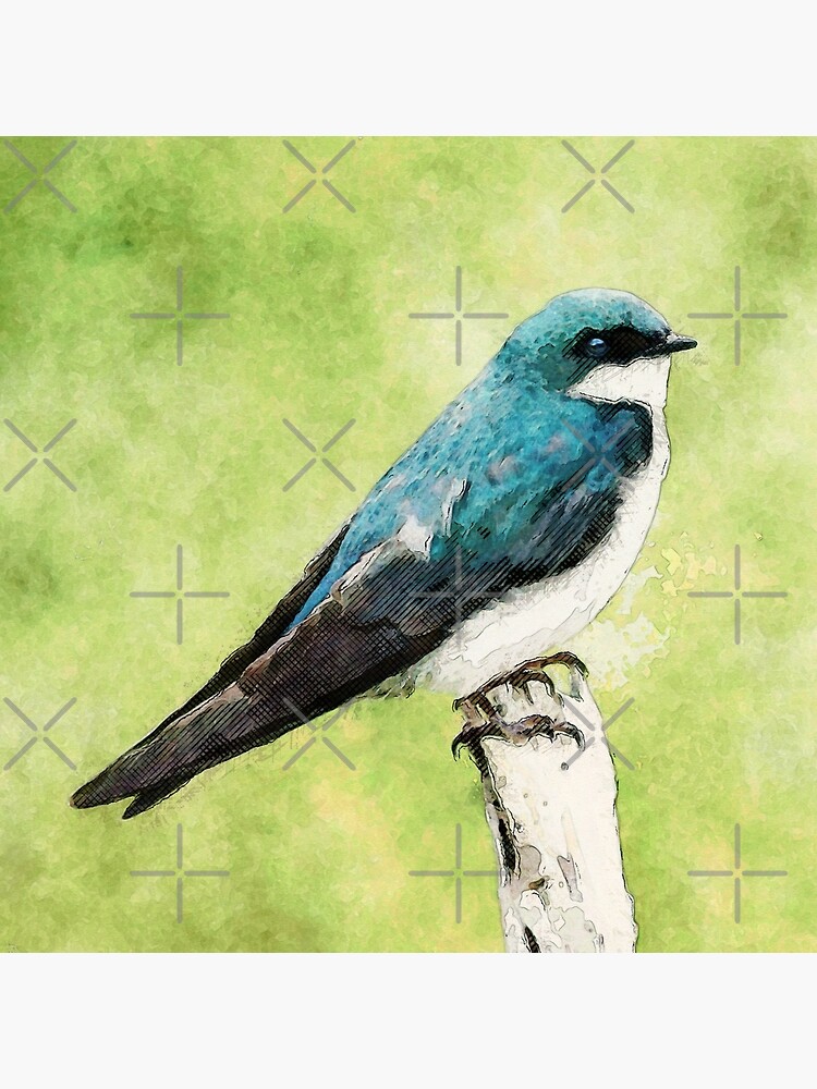Blue Bird by perkinsdesigns