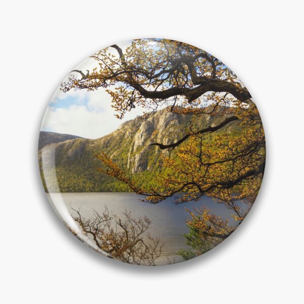 Item preview, The beautiful Fagus designed and sold by Mel Brackstone.