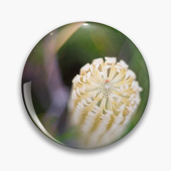 Item preview, Banksia designed and sold by Mel Brackstone.
