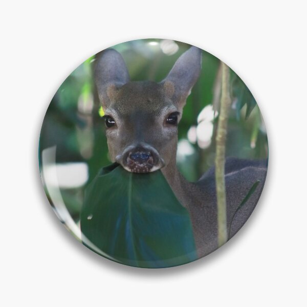 Item preview, Little while-tailed deer  designed and sold by CostaRicaNature.