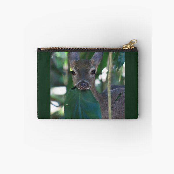 Item preview, Little while-tailed deer  designed and sold by CostaRicaNature.