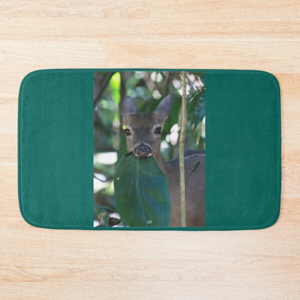 Item preview, Little while-tailed deer  designed and sold by CostaRicaNature.