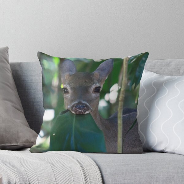 Item preview, Little while-tailed deer  designed and sold by CostaRicaNature.