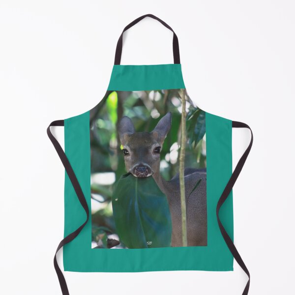 Item preview, Little while-tailed deer designed and sold by CostaRicaNature.