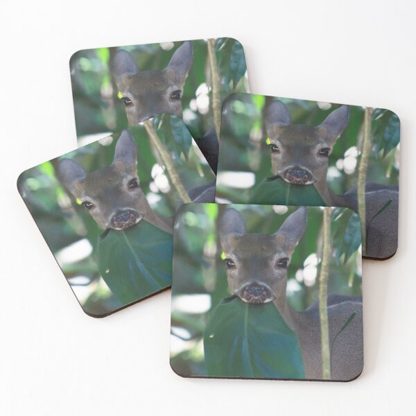 Item preview, Little while-tailed deer  designed and sold by CostaRicaNature.
