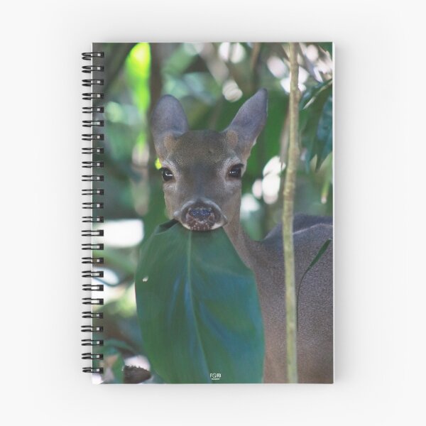 Item preview, Little while-tailed deer  designed and sold by CostaRicaNature.