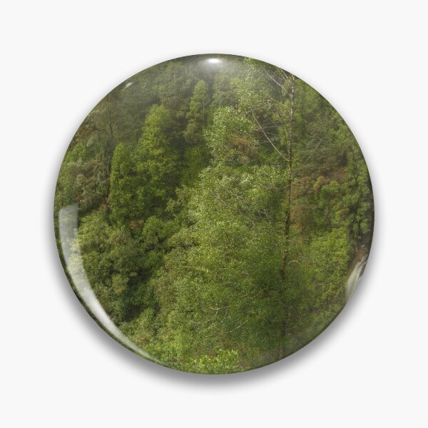 Item preview, Rainforest, Tarkine, Tasmania designed and sold by Kevin McGennan.