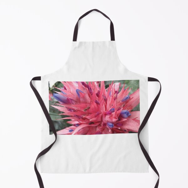 Item preview, Pink and blue Bromeliaceae. designed and sold by Rebecca-Art.