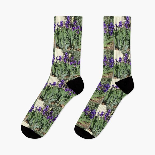 Item preview, Purple Iris designed and sold by Rebecca-Art.