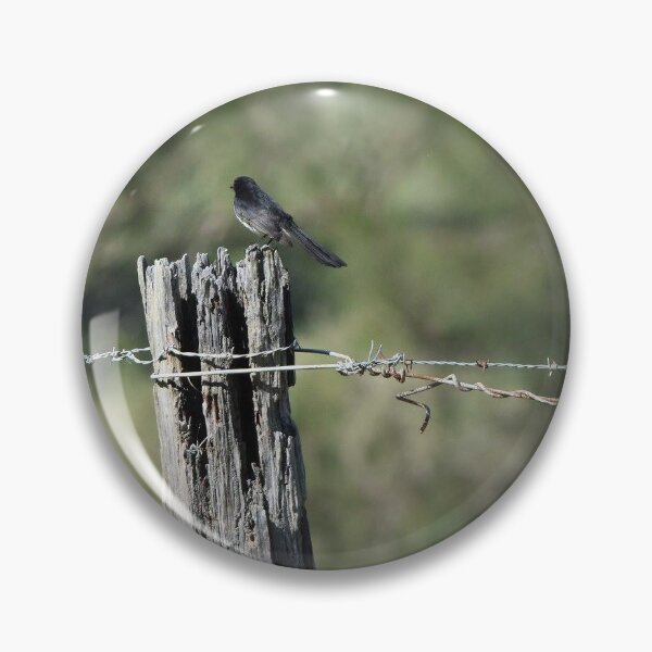 Item preview, nature, willy wag tail designed and sold by TsPhotographyQ.