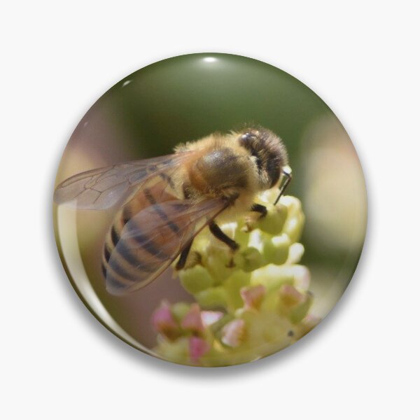 Item preview, Bee designed and sold by TsPhotographyQ.