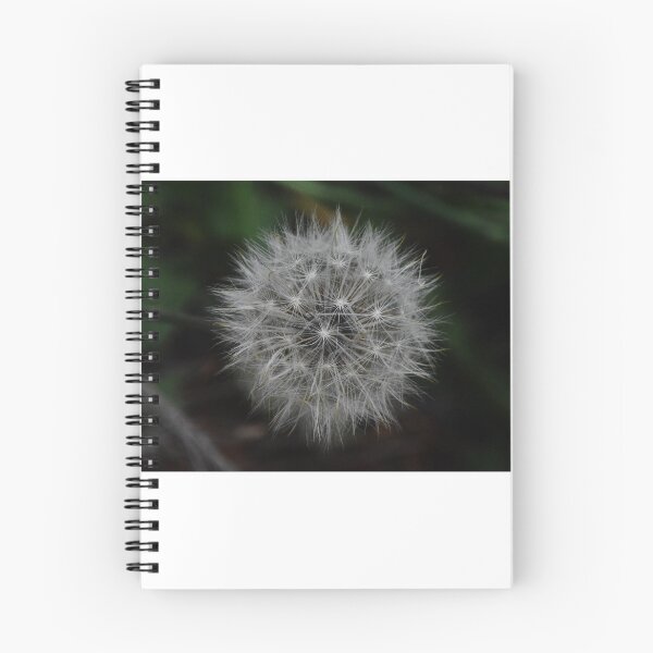 Item preview, Make a Wish Dandelion designed and sold by TsPhotographyQ.