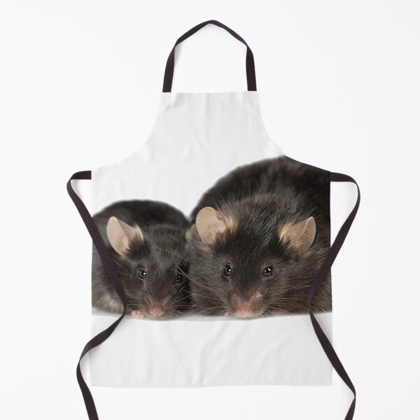 Item preview, Black Leptin Rats designed and sold by Mavy-liz.