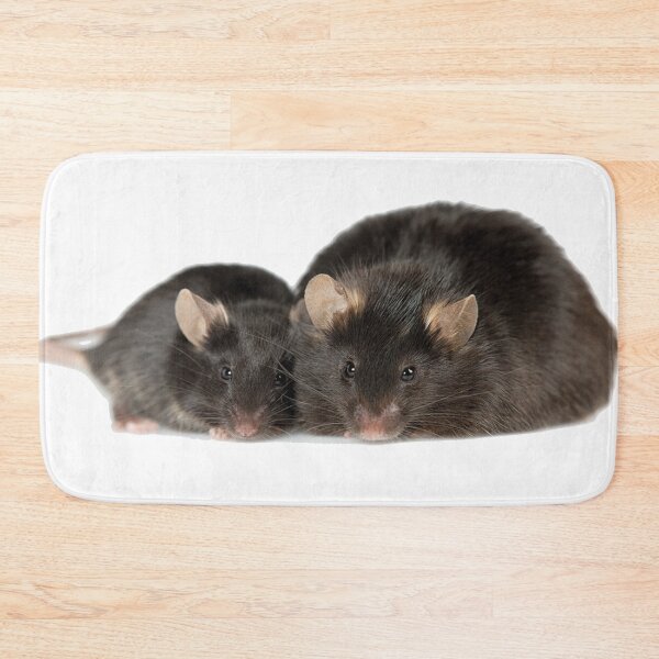 Item preview, Black Leptin Rats designed and sold by Mavy-liz.