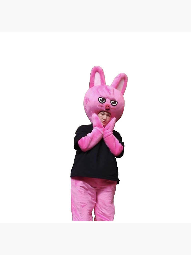 チャンビン まとめ売り dwaekki changbin skzoo チャンビン まとめ売り スキズ dwaekki straykids トェッキ