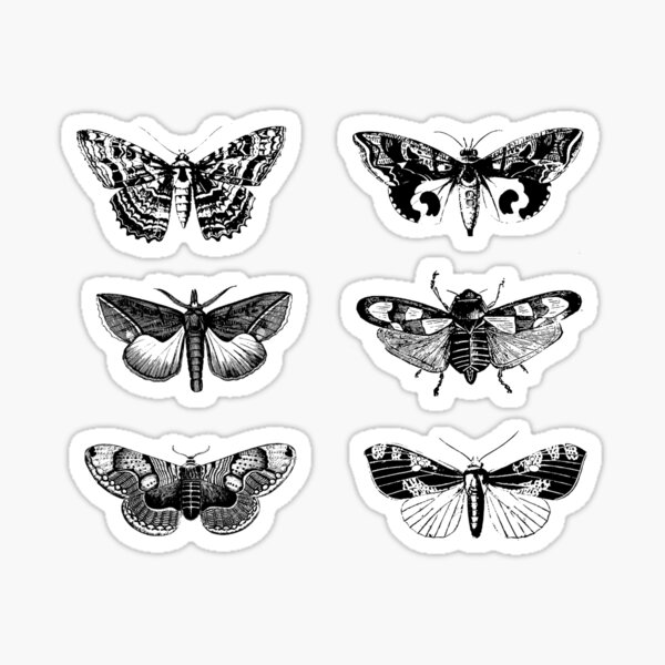 Item preview, Moth Sticker Pack Black and White Moths designed and sold by JuliaPop.