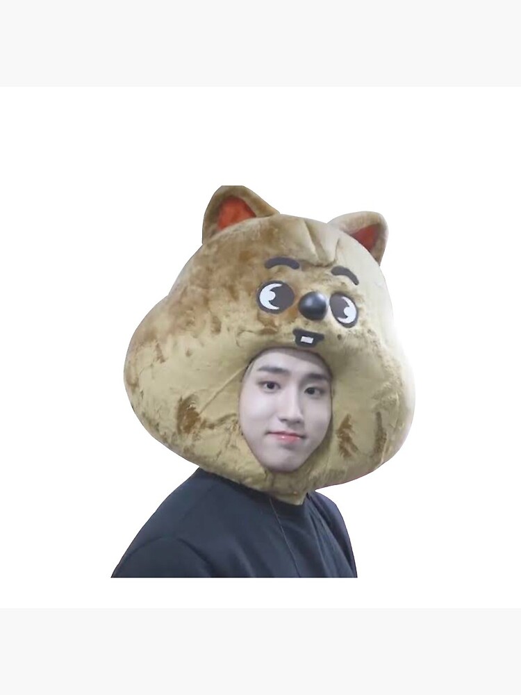 Quokka Blue Outfit Set, Han Jisung, Stray Kids SKZOO Costume
