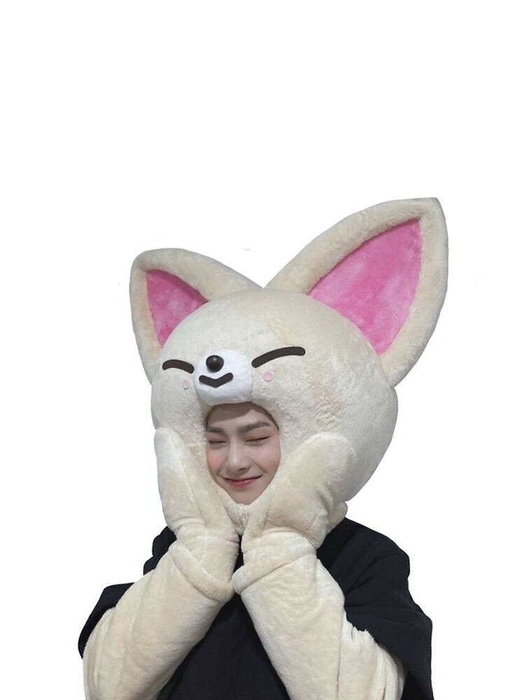 New Detached Tags Official Stray cheapest Kids Jeongin I.N SKZOO FoxI.Ny Plush Original