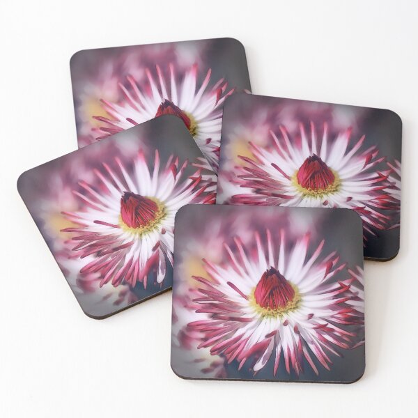 Item preview, Blooming Livingstone Daisy Flower designed and sold by Heathermarie321.