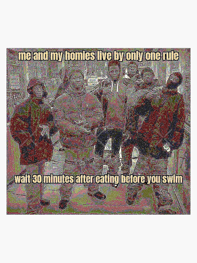 "me and my homies live by only one rule, wait 30 minutes after eating