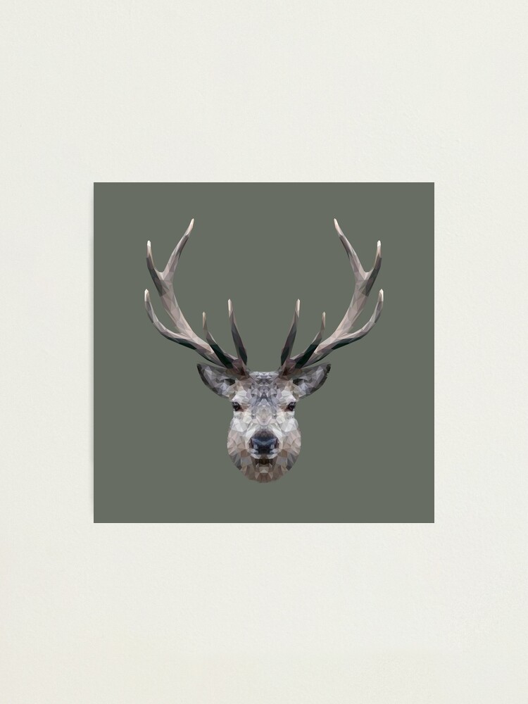 Alternate view of The Stag Photographic Print