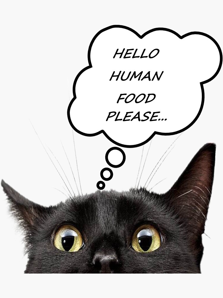 "Cat asking for food." Sticker for Sale by ZeldaWarner Redbubble