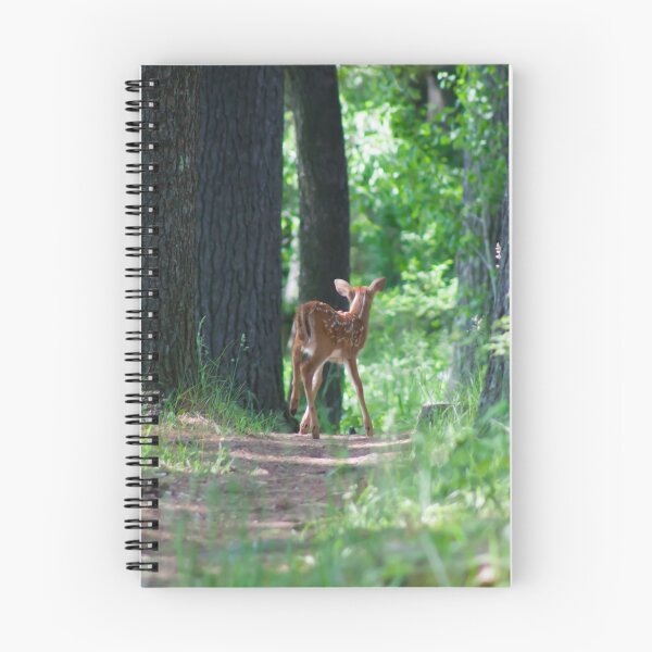 Item preview, Young Explorer designed and sold by KHartmann.
