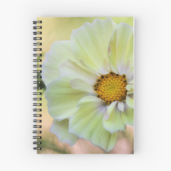 Item preview, Cosmos Xanthos designed and sold by John Ray.