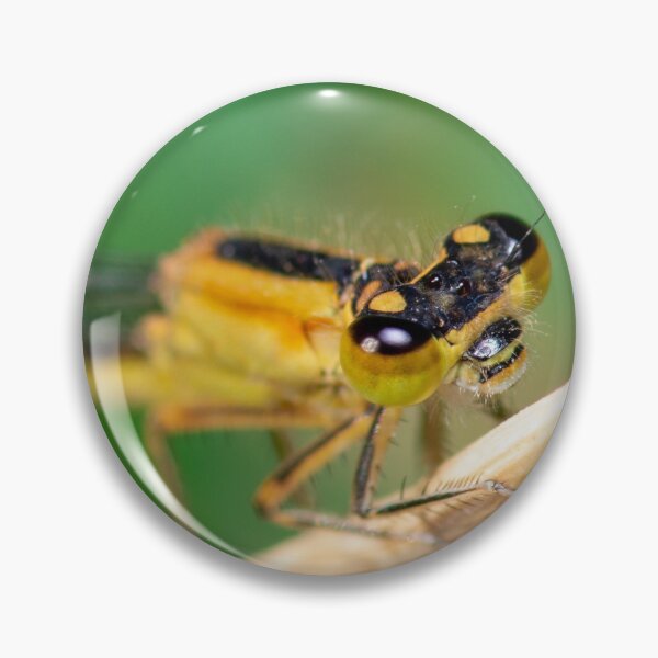 Item preview, Yellow damselfly close-up macro designed and sold by LifesTooBig.