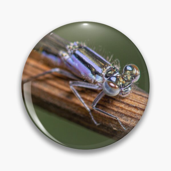 Item preview, Purple damselfly holding on designed and sold by LifesTooBig.