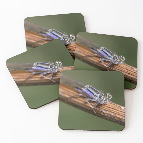 Item preview, Purple damselfly holding on designed and sold by LifesTooBig.