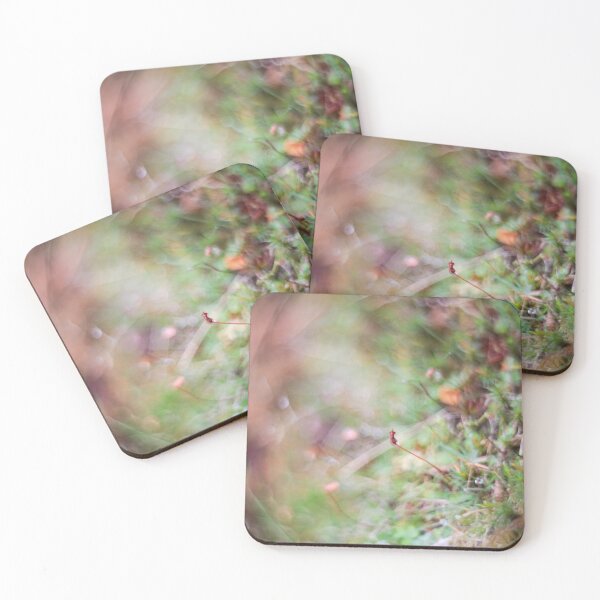 Item preview, There's always one designed and sold by Mel Brackstone.