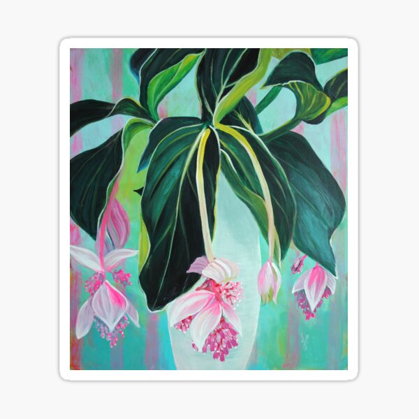 medinilla magnifica Sticker