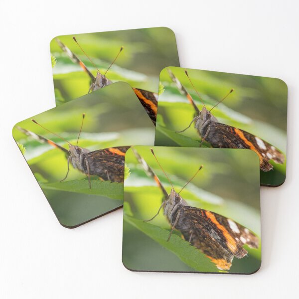 Item preview, Atalanta butterfly spreading its wings designed and sold by LifesTooBig.