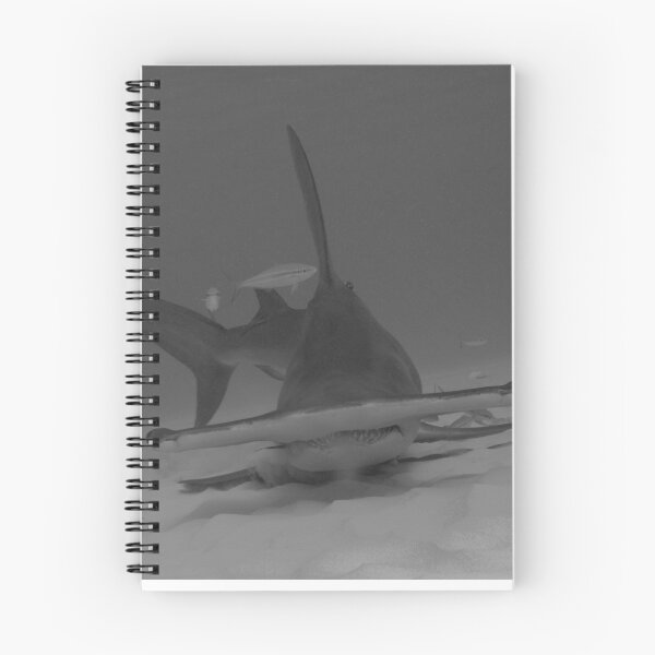 Item preview, Hammertime With a Great Hammerhead Shark designed and sold by Brent Barnes.